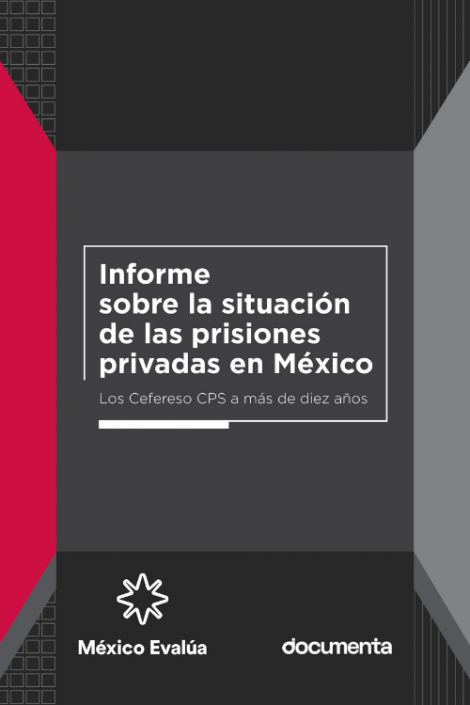 Informe sobre la situación de las personas privadas de la libertad en México