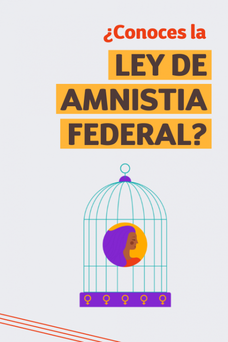 ¿Conoces la ley de amnistia federal?